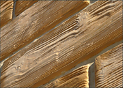 Каменное дерево