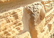 Морской бриз